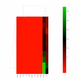 Clustergram